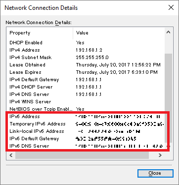 Network Connections Details